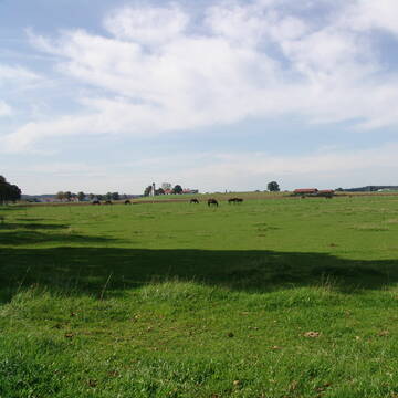 Bild: Stall in  Jesenwang