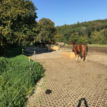 Bild: Stall in  Schwerte