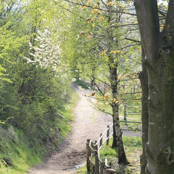 Bild: Stall in  Wermelskirchen
