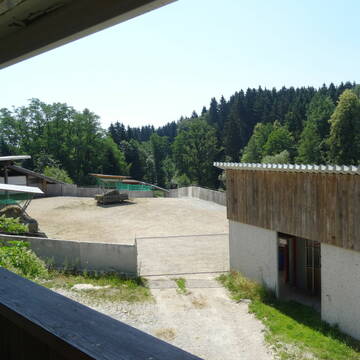 Bild: Stall in  Windorf