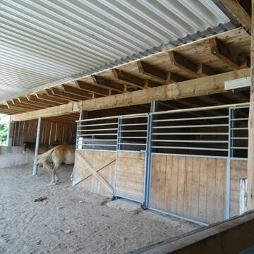 Bild: Stall in  Windorf