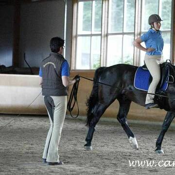 Sitzlonge und Sitzschulung