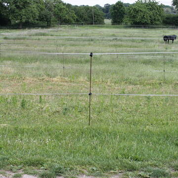 Bild: Stall in  Ketsch