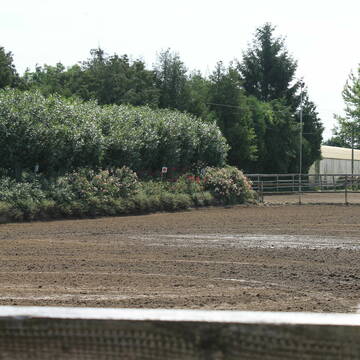 Bild: Stall in  Ketsch