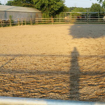 Bild: Stall in  Ketsch