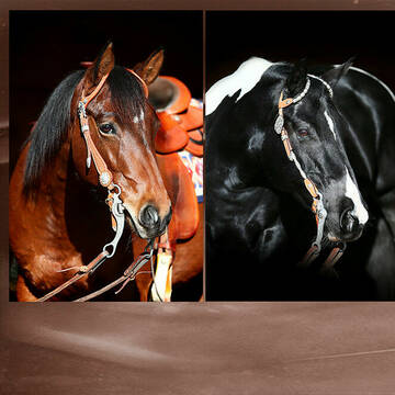 Bild: Stall in  Hattenhofen