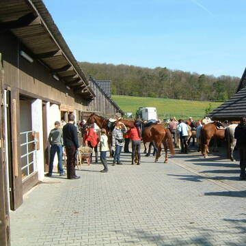 Bild: Stall in  Berg