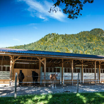 Bild: Stall in  Lenggries