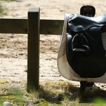 Bild: Stall in  Winsen (Luhe)