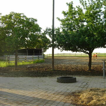 Befestigter Auslauf + Ganzjahreskoppel