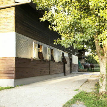 Bild: Stall in  Oberderdingen