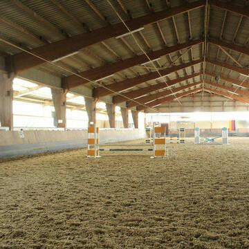 Bild: Stall in  Olfen