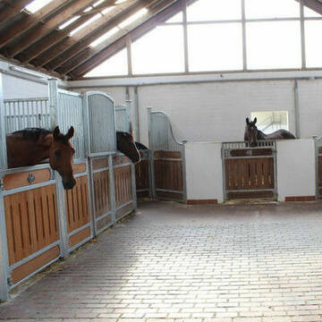 Bild: Stall in  Olfen