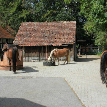 Laufstall mit Unterstand und Heuraufen