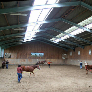 Horsemanship und Bodenarbeit in der Reithalle