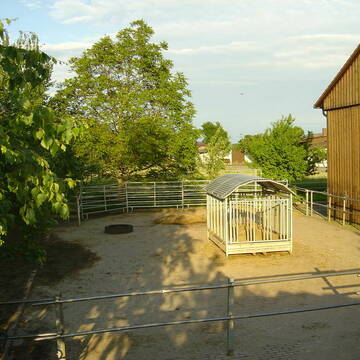 Befestigter Auslauf + Heuraufe