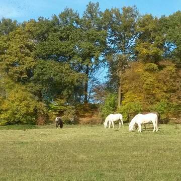 Bild: Stall in  Rudelzhausen