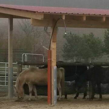 Überdachter Fressplatz