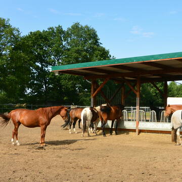 Bild: Stall in  Lutzhorn