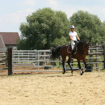 Reitplatz mit Flutlicht