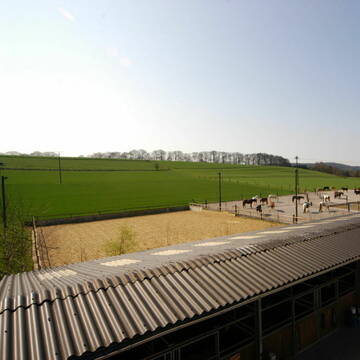 Reitplatz,Auslauf und Weiden