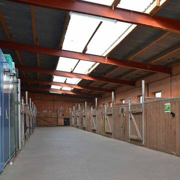 Helle Stallgasse mit gitterfreien Boxen