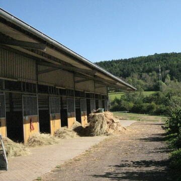Bild: Stall in  Merzig