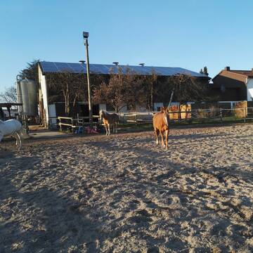 Bild: Stall in  Köngen