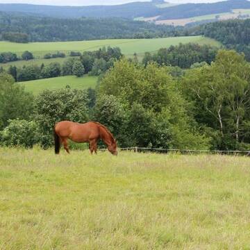 Bild: Stall in  Schwarzenberg/Erzgebirge