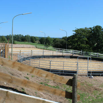 Bild: Stall in  Hermeskeil