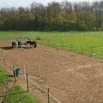 Bild: Stall in  Bietigheim-Bissingen