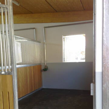 Großzügige Fensterboxen