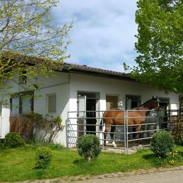 Bild: Stall in  Oberjettingen