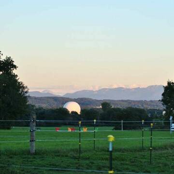 weitläufiges Ausreitgelände