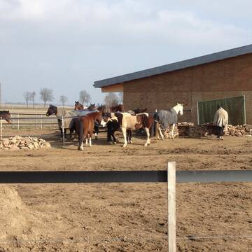 Bild: Stall in  Wolfsheim