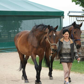 der Weg von den Weiden