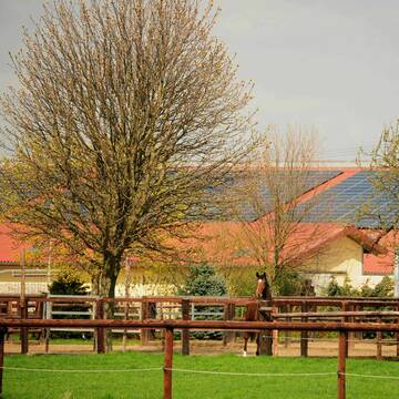 Bild: Stall in  Erftstadt