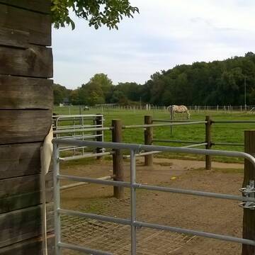 Bild: Stall in  Wenau