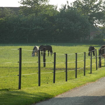 Bild: Stall in  Handewitt