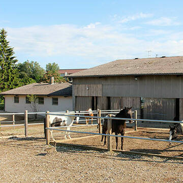 Bild: Stall in  Meßkirch