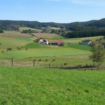 Bild: Stall in  Wald
