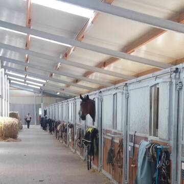 Stallgasse an der Reithalle mit Paddockboxen