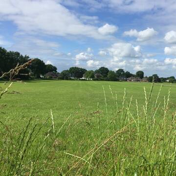 Bild: Stall in  Wilstedt