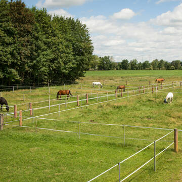 Blick auf die Weiden