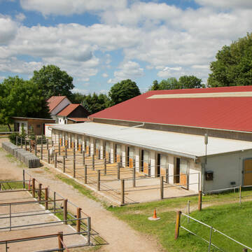 Blick auf die Paddockboxen