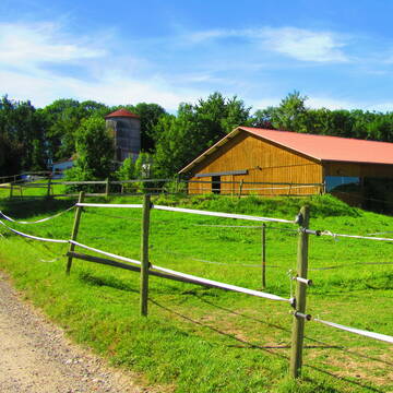 Bild: Stall in  Ravensburg