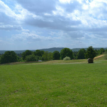 Bild: Stall in  Mehlingen