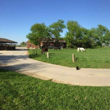 Bild: Stall in  Kempen