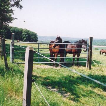 Ein Teil unserer Weiden