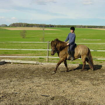 Bild: Stall in  Dünzelbach